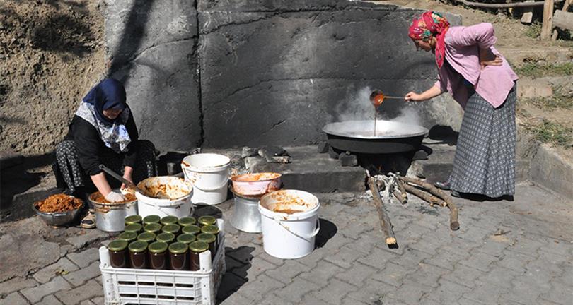 Gümüşhane'de kuşburnu hasadı tamamlanmak üzere