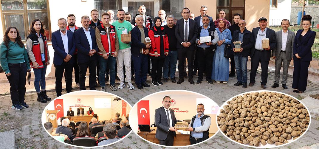 Gümüşhane’de Salep Üretimi İçin İlk Adım: Çiftçilere Eğitim ve Yumru Desteği