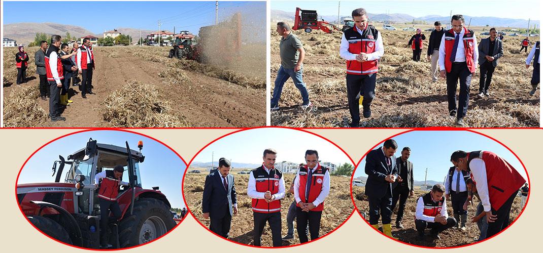 Vali Baruş, Kelkit’te traktörle fasulye hasadı yaptı