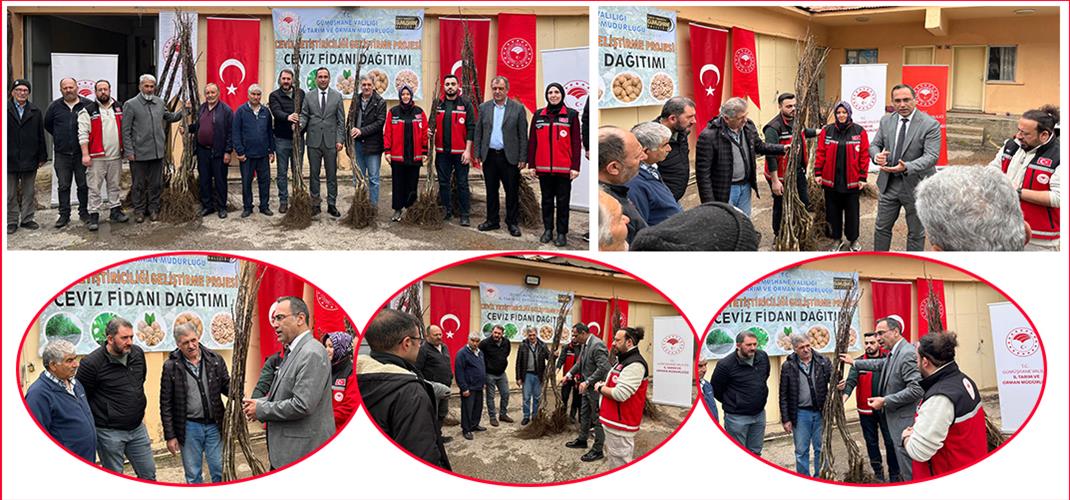 Gümüşhane’de Üreticilere %50 Hibeli Ceviz Fidanı Desteği Sağlandı